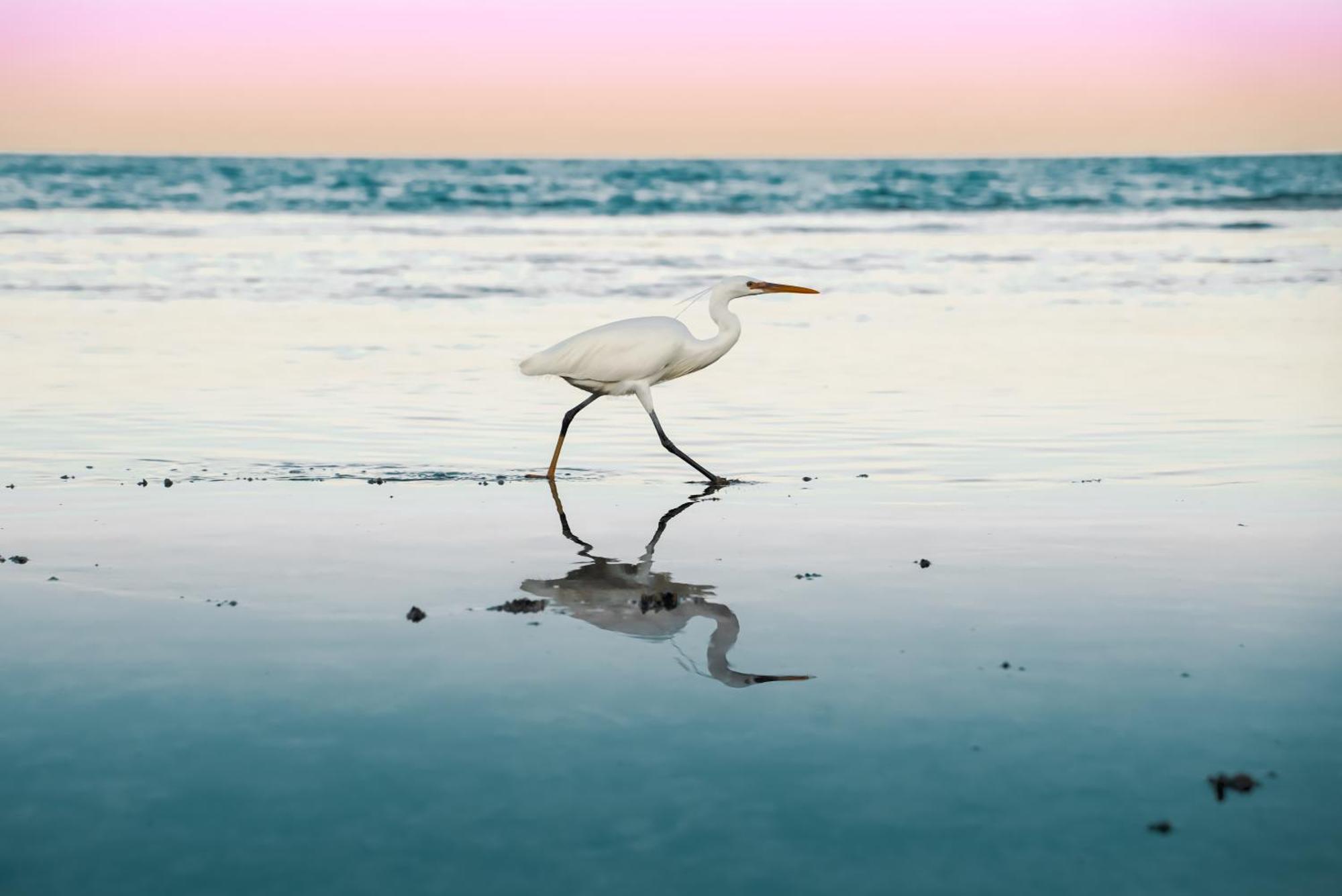 Отель Sentido Akassia Beach El Qoseir Экстерьер фото